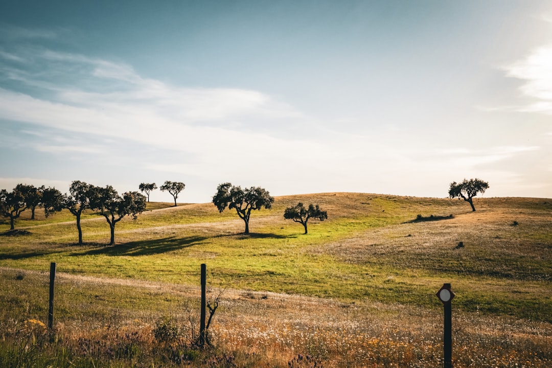 Sustainable Travel Partner